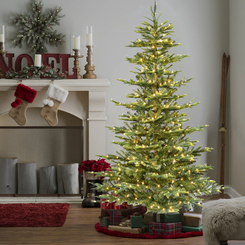 Christmas Trees