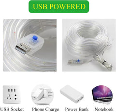 Rope String Lights, 12M/39ft 100LED Waterproof 8 Mode/Remote USB Tube Lights Christmas Lights,String Lights Outdoor Indoor for Christmas Decorations
