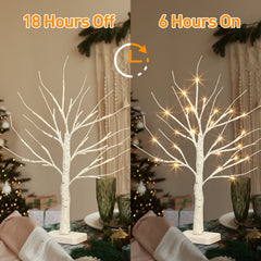 EAMBRITE Lighted Birch Tree with LED Lights Christmas Decorations Indoor