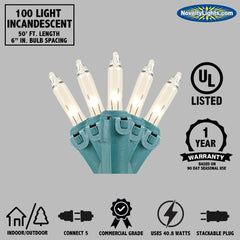 Novelty Lights Clear 100 Light Incandescent Mini Christmas String Lights 50 Feet