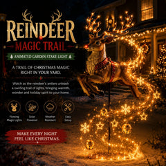 Avelune™ FeiBiQiuBi Christmas Magic Trail Wall Light