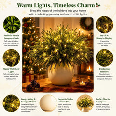 Clearance! Christmas Twinkling Enchanted Evergreen Pine Tree with Lights, Christmas Decoration. Gift for Family Friends (10 Pine)